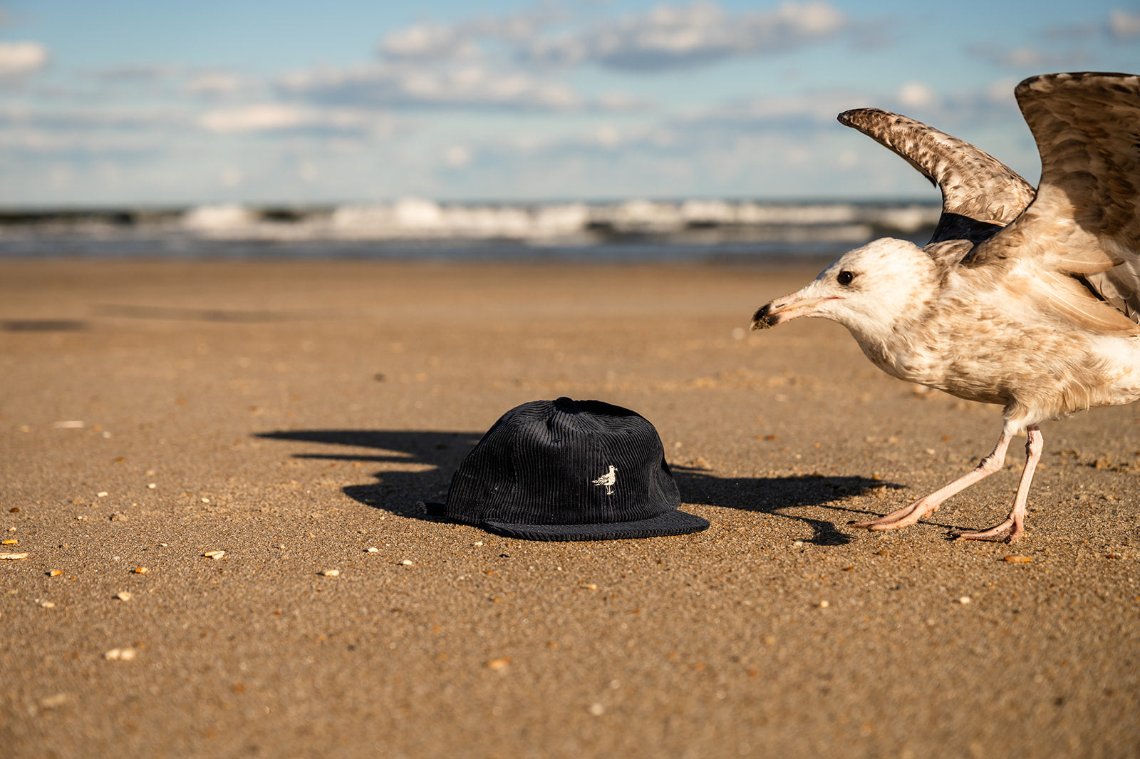 Corduroy Seagull Dad Hat