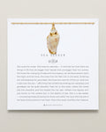 Sea Seeker Shell Necklace