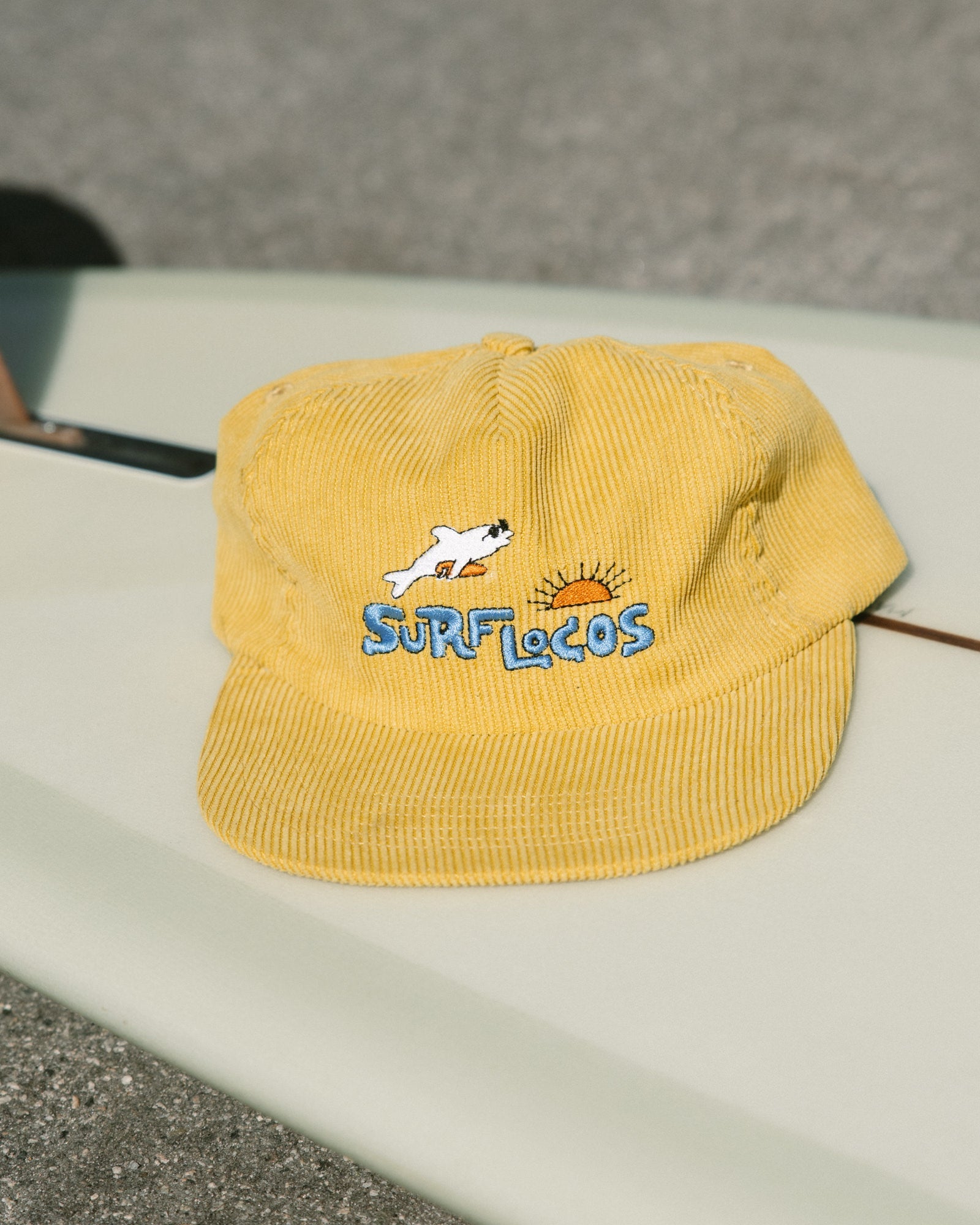 Happy Dolphin Hat